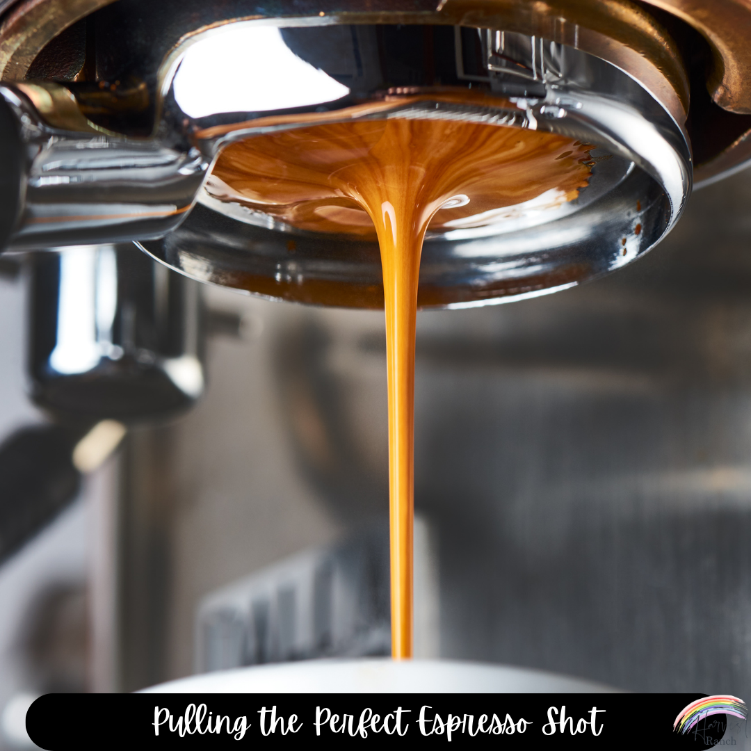 Espresso shot being pulled up close with a quote "Pulling the perfect espresso shot" on the bottom in white letters