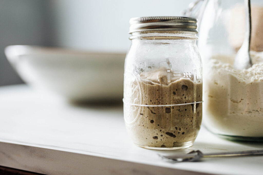 Sourdough Starter to buy